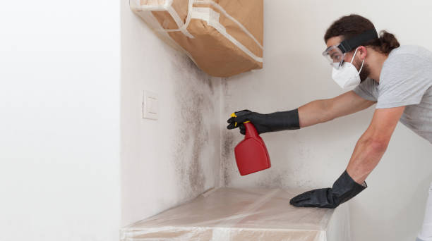 Professional Mold Remediation technician working in West Sayville, NY